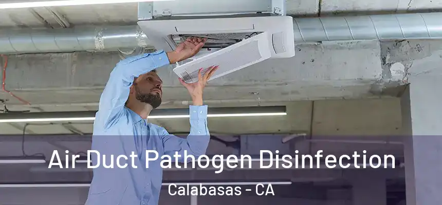 Air Duct Pathogen Disinfection Calabasas - CA