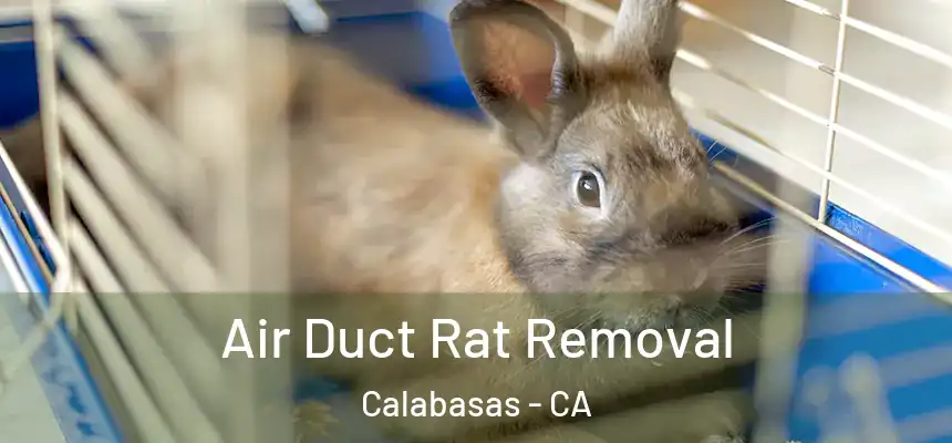  Air Duct Rat Removal Calabasas - CA
