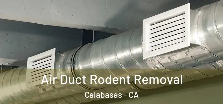  Air Duct Rodent Removal Calabasas - CA