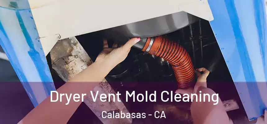  Dryer Vent Mold Cleaning Calabasas - CA