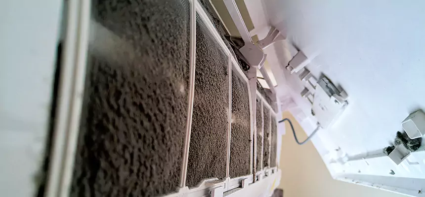 Preventive Air Duct Bacteria Removal in Calabasas