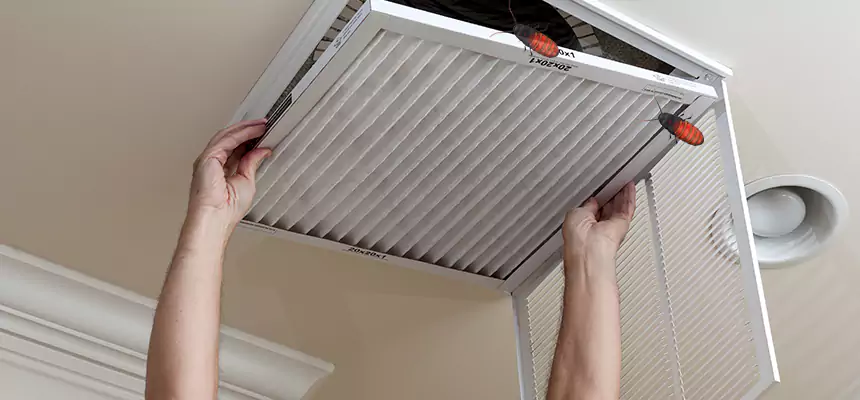 Preventive Cockroach-Proofing for Ducts in Calabasas