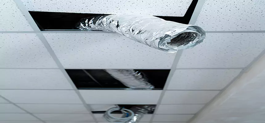 Our Air Duct Pet Hair Removal Services in Calabasas, CA