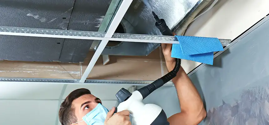 Our Air Duct Rodent Removal Services in Calabasas, CA