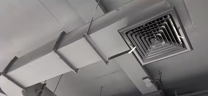 Restorative Allergy Relief Vent Cleaning – Coil, Blower & Housing Detail in Calabasas