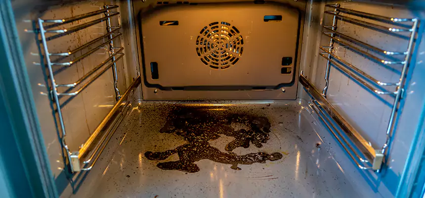 Our Dryer Vent Mold Cleaning Services in Calabasas, CA