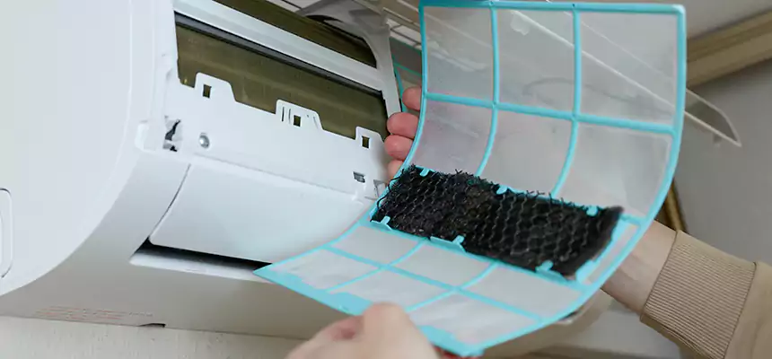 Gentle Ductwork Odor-Control Pet Dander Duct Cleaning in Calabasas, CA