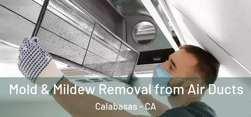 Mold & Mildew Removal from Air Ducts Calabasas - CA