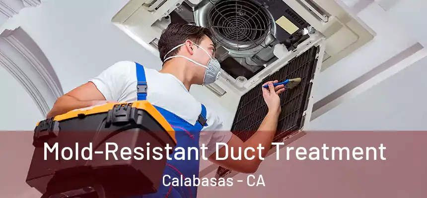 Mold-Resistant Duct Treatment Calabasas - CA