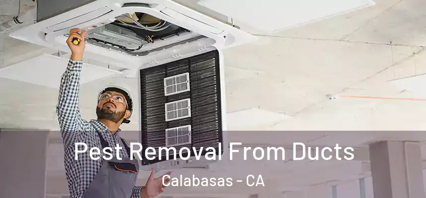  Pest Removal From Ducts Calabasas - CA