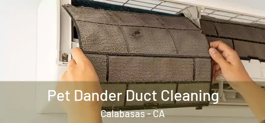  Pet Dander Duct Cleaning Calabasas - CA