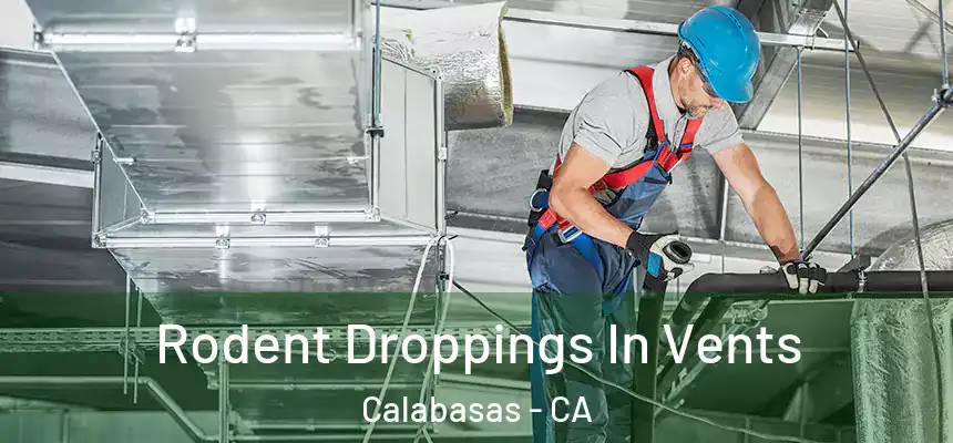 Rodent Droppings In Vents Calabasas - CA