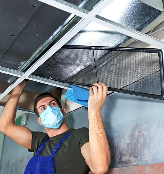 Professional Air Duct Pollen Cleaning in Calabasas, CA