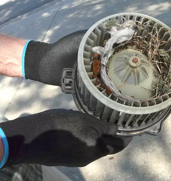 About Air Duct Rat Removal in Calabasas, CA