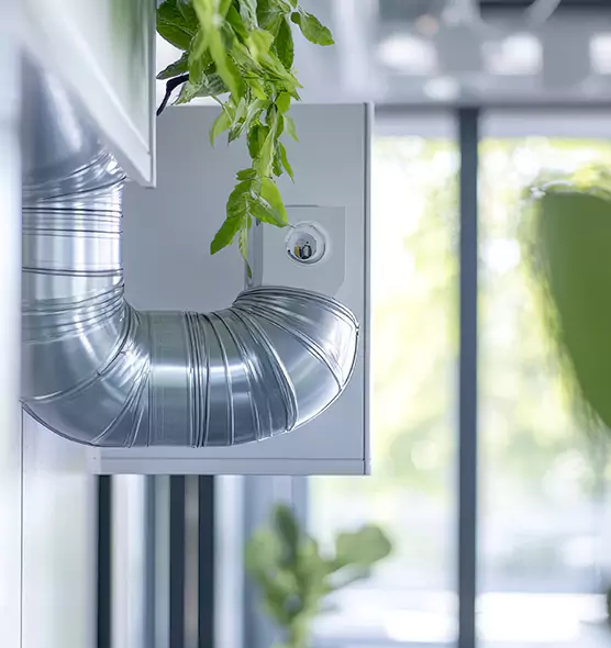 Professional Eco-Friendly Duct Cleaning Services in Calabasas, CA