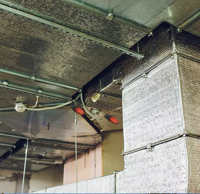 Why Homeowners & Businesses Trust Us in Calabasas, CA?