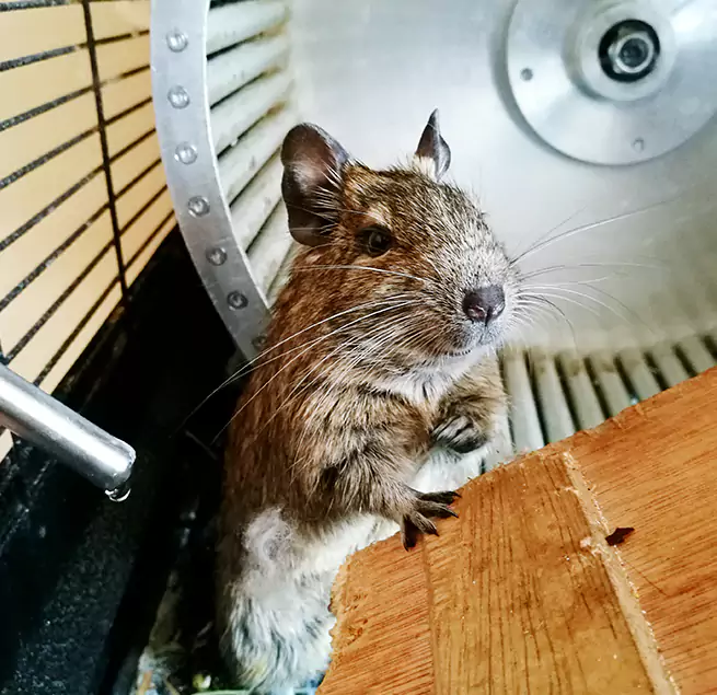 Why Homeowners & Businesses Trust Us Calabasas, CA