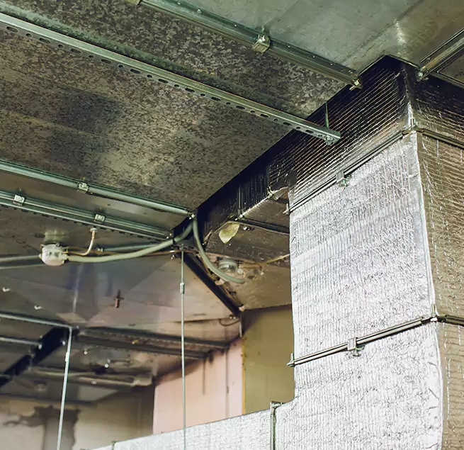 Why Homeowners & Businesses Trust Us in Calabasas, CA?