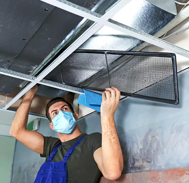 Why Homeowners & Businesses Trust Us in Calabasas, CA?